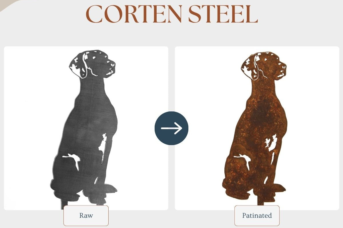 Rhodesian Ridgeback